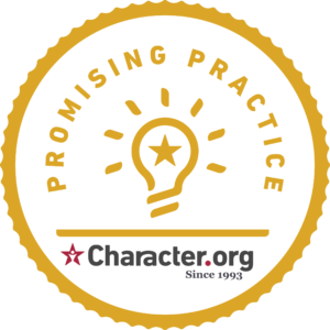 Promising Practices Badge